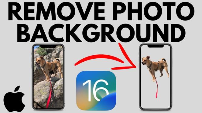 how-to-remove-background-from-photo-on-iphone-gauging-gadgets